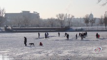 Лебединое озеро зимой становится катком)